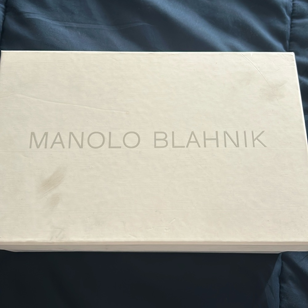 Manolo Blahnik Hangisi 2.75 in/70 mm 42
